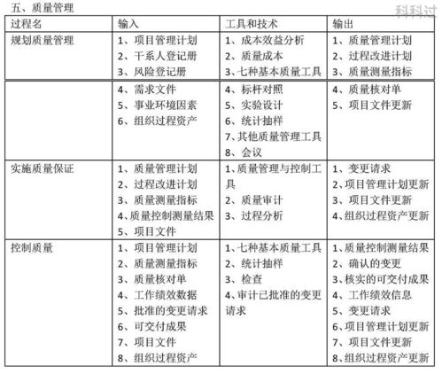 系統集成項目管理工程師的十大管理領域與工程管理服務
